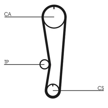 CONTI CT 568 Timing belt