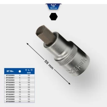 Šešiakampio lizdo komplektas KS TOOLS BT022865