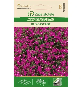 Paprastosios lobelijos Red cascade