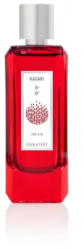 Annayake KAGARI FOR HIM EDT vapo 100 ml