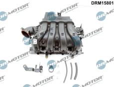 Įsiurbimo kolektoriaus modulis Dr.Motor Automotive DRM15801 kaina