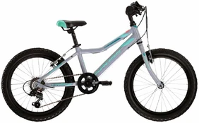 KROSS Lea Mini 1.0 gry-cel g Vaikiškas dviratis (20") kaina