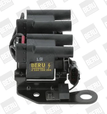 Ritė, uždegimas BorgWarner (BERU) ZS264