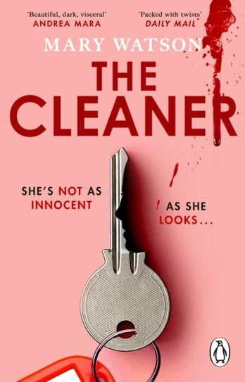 Cleaner