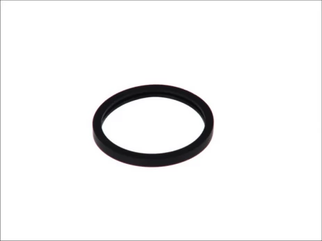 Termostato tarpinė ELRING EL275816