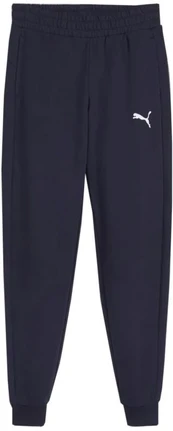 Puma Team Goal Jr kelnės 658601 06