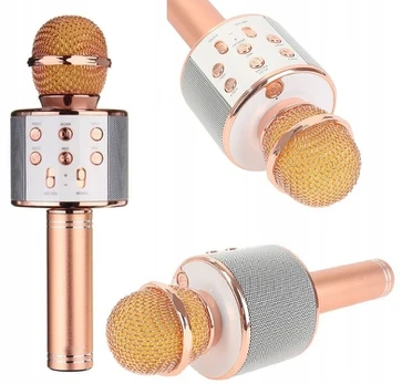 Belaidis karaoke mikrofonas su garsiakalbiu ir Bluetooth