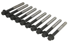 ELRING EL577120 Cylinder head bolt set kaina
