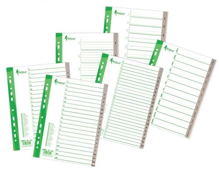 Divider Forpus, A4, Jan.-Dec. months, plastic