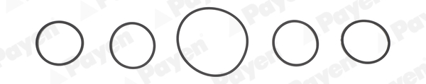 PAYEN HA5005 Intake manifold gasket set