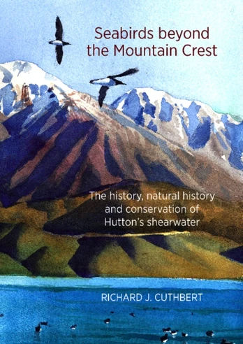 Seabirds Beyond the Mountain Crest