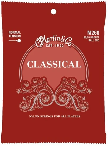 Stygos klasikinei gitarai Martin M260