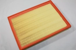 Oro filtras AUTOMEGA 180031310 kaina
