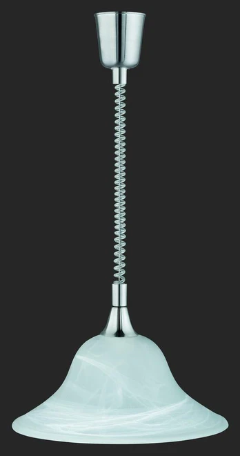 Trio-Lighting Viola E27 brushed steel piekaramā lampa