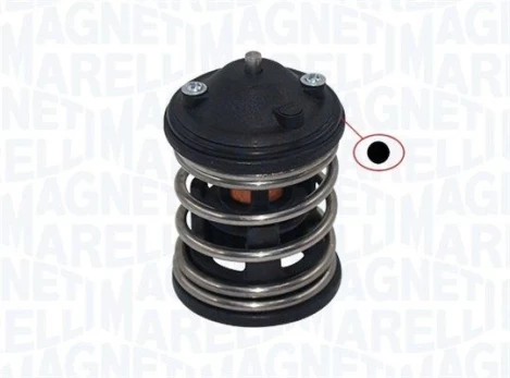 Termostatas, aušinimo skystis MAGNETI MARELLI 352317003260