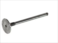 FRECCIA 4973/S Inlet valve kaina