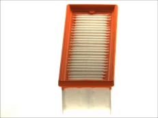 Oro filtras FILTRON AP134/9 kaina