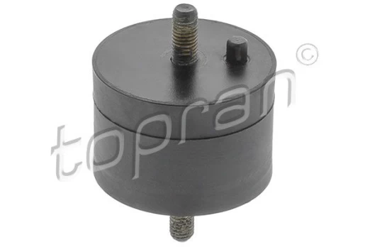 Variklio montavimas TOPRAN 500 002