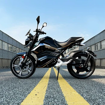 Elektrinis motociklas E-VALI 5000W 73Ah