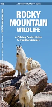 Rocky Mountain Wildlife