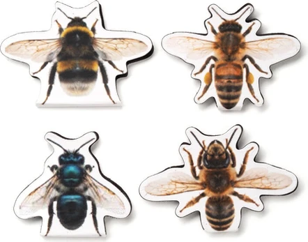 Kikkerland - Magnetic Bookmarks - Bee