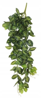 Dirbtinis augalas Splendid Variegata, žalia, 1000 mm kaina