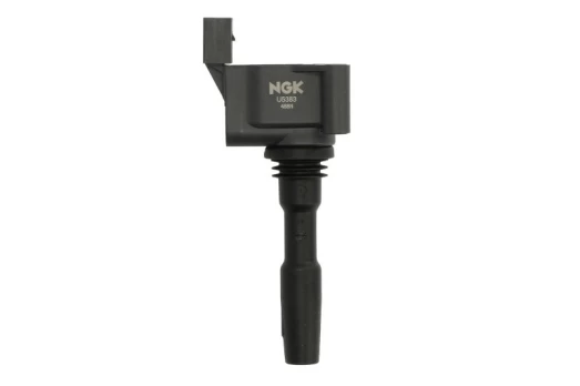 Ritė, uždegimas NGK 49152