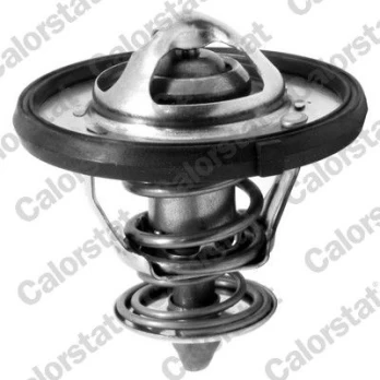 Termostatas, aušinimo skystis CALORSTAT by Vernet TH7310.77J