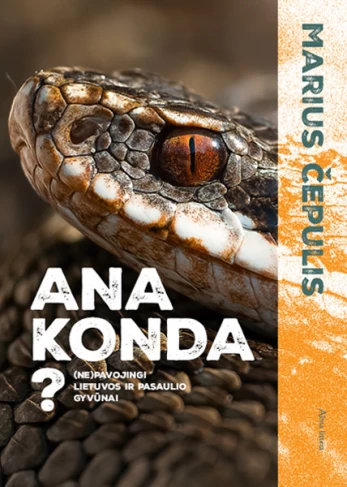 KNYGA Ana konda?