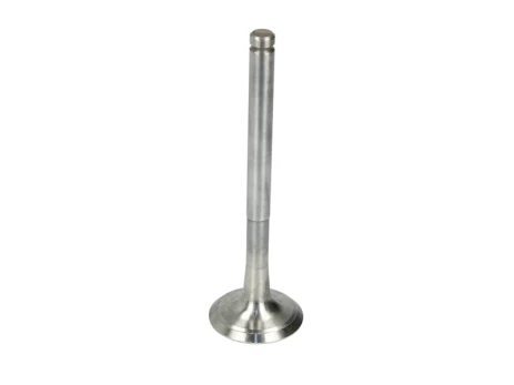 FRECCIA 4724/RCR Exhaust valve