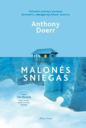 Malonės sniegas kaina