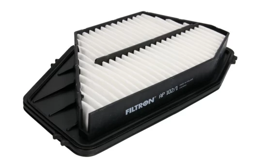 Oro filtras FILTRON AP 102/1