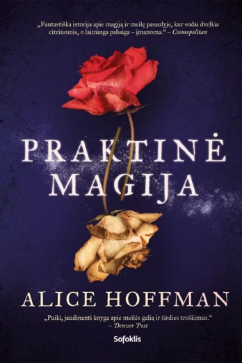 Praktinė magija