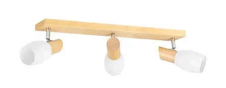 Šviestuvas lubų Spot-Light Brigit, E14