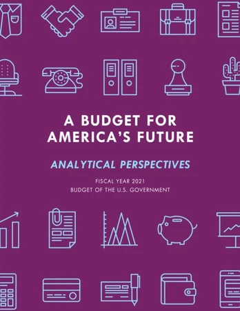 Budget for America's Future