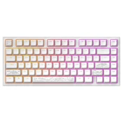 Dark Project ALU81A Terra Nostra White, G3MS Moonstone Switch, RU kaina