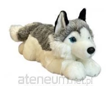 Dubi Plusz Pies husky 42cm 32041