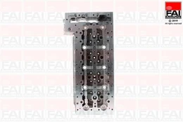 FAI AutoParts BCH085 Cilindro galvutė