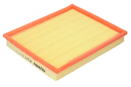 Oro filtras FILTRON AP073
