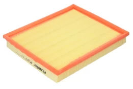 Oro filtras FILTRON AP073 kaina