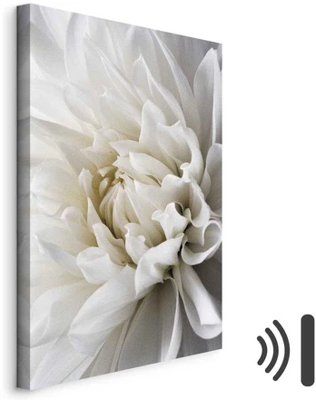 Artgeist Paveikslas - Baltas Dahlia