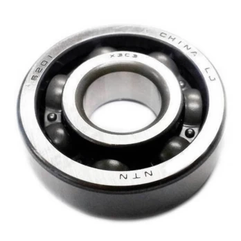 GUOLIS RUTULINIS 6201, ECHO