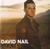 CD David Nail - I'm A Fire