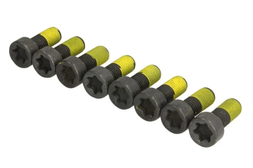LUK 411 0226 10 Flywheel bolt set