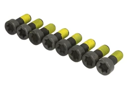 LUK 411 0226 10 Flywheel bolt set kaina