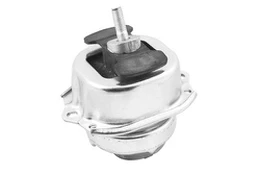 Variklio montavimas TEDGUM TED41757