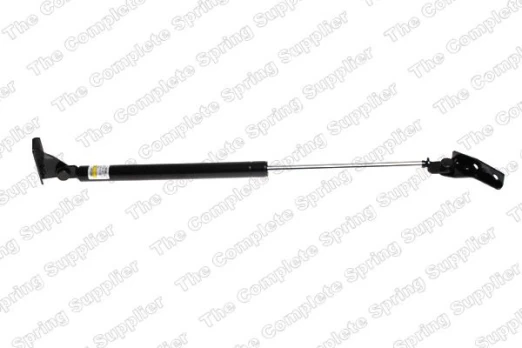 LESJOFORS LS8188902 Boot strut