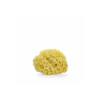 Lua & Lee Sponge prausimosi kempinė 1 vnt