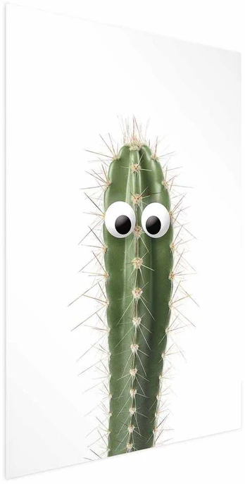Artgeist Plakatas - Living Cactus