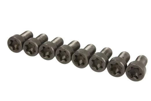 LUK 411 0256 11 Flywheel bolt set